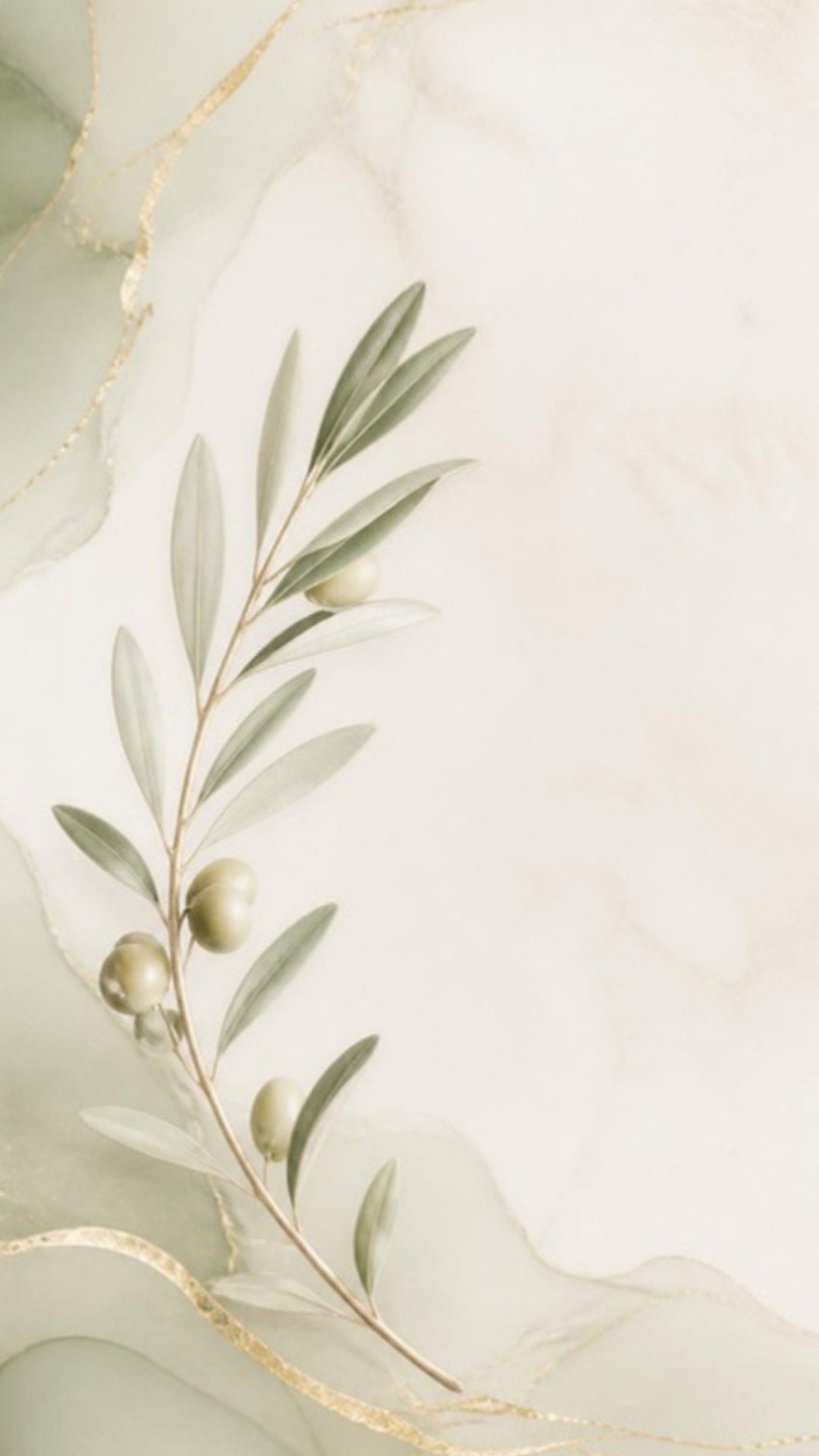 AI-generated illustration: a single olive branch with silvery leaves on pearl white with sage green and gold. Minimalist design.